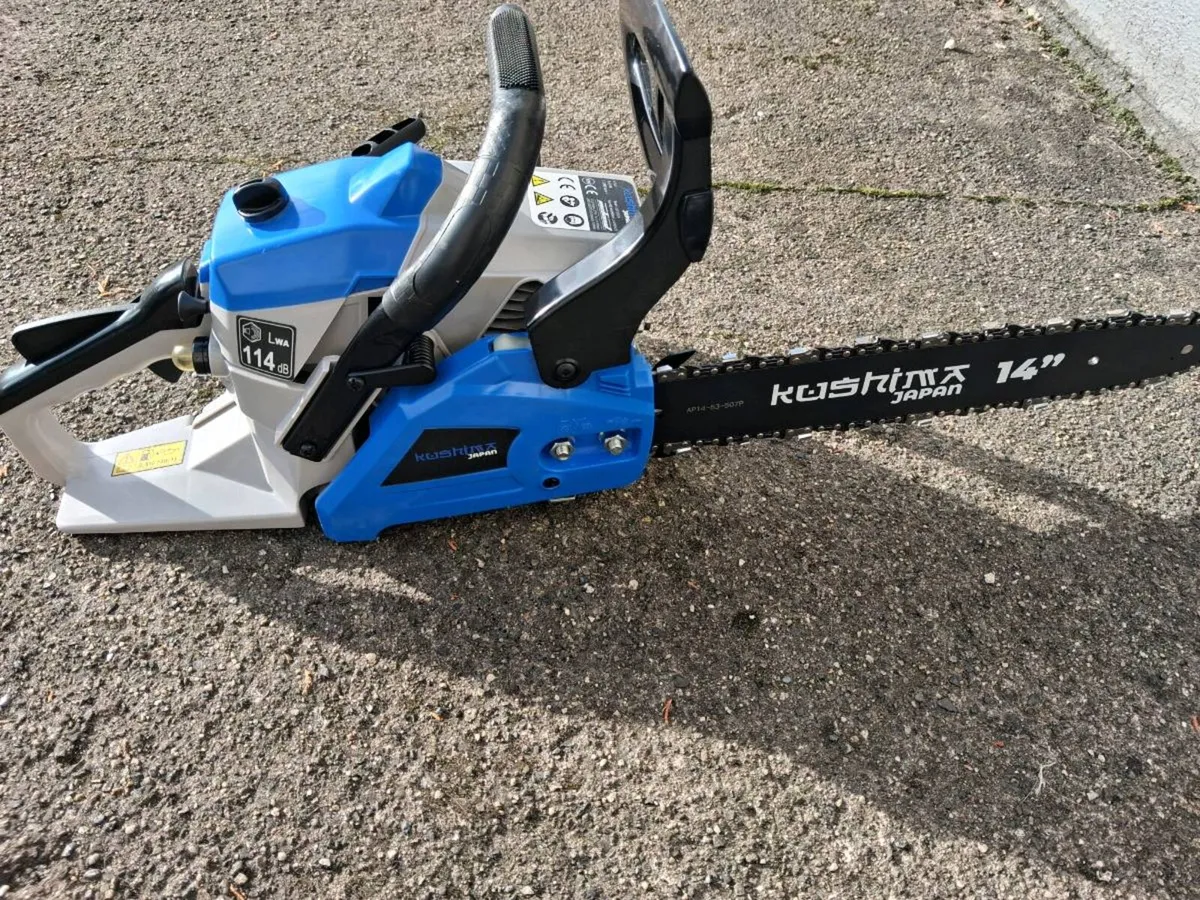 Chainsaw - Image 3