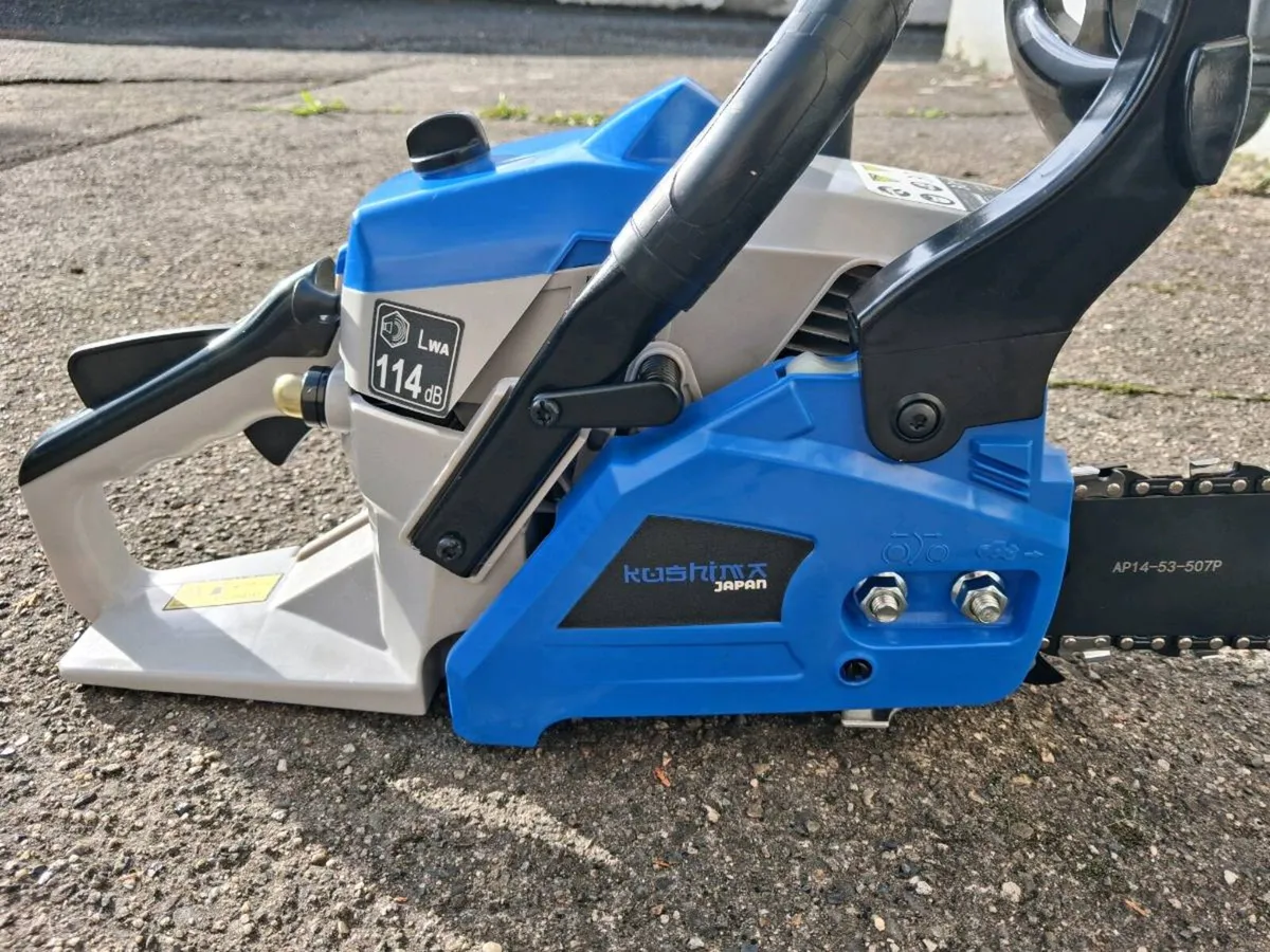 Chainsaw - Image 4