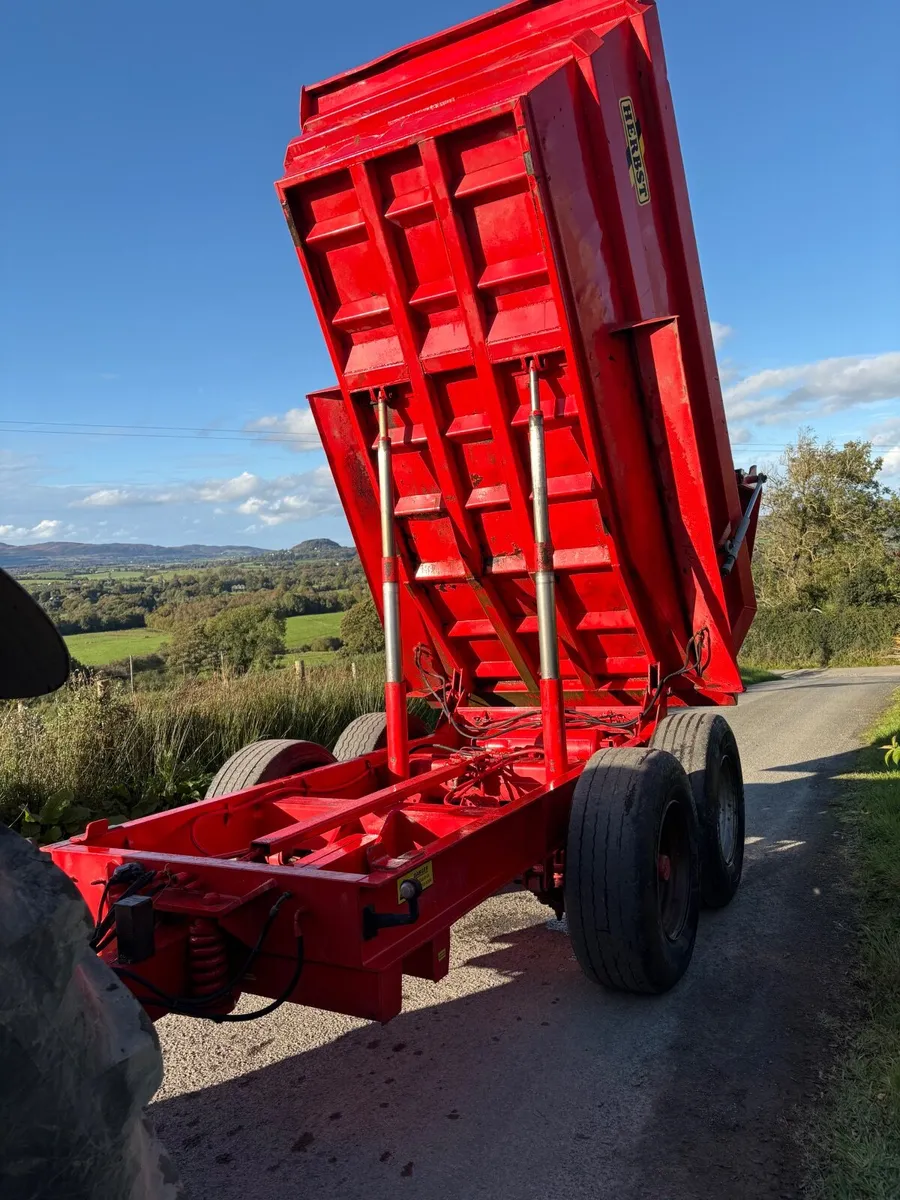 Herbst dump trailer - Image 2