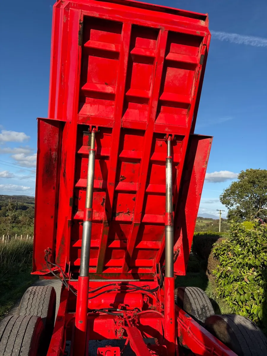 Herbst dump trailer - Image 3