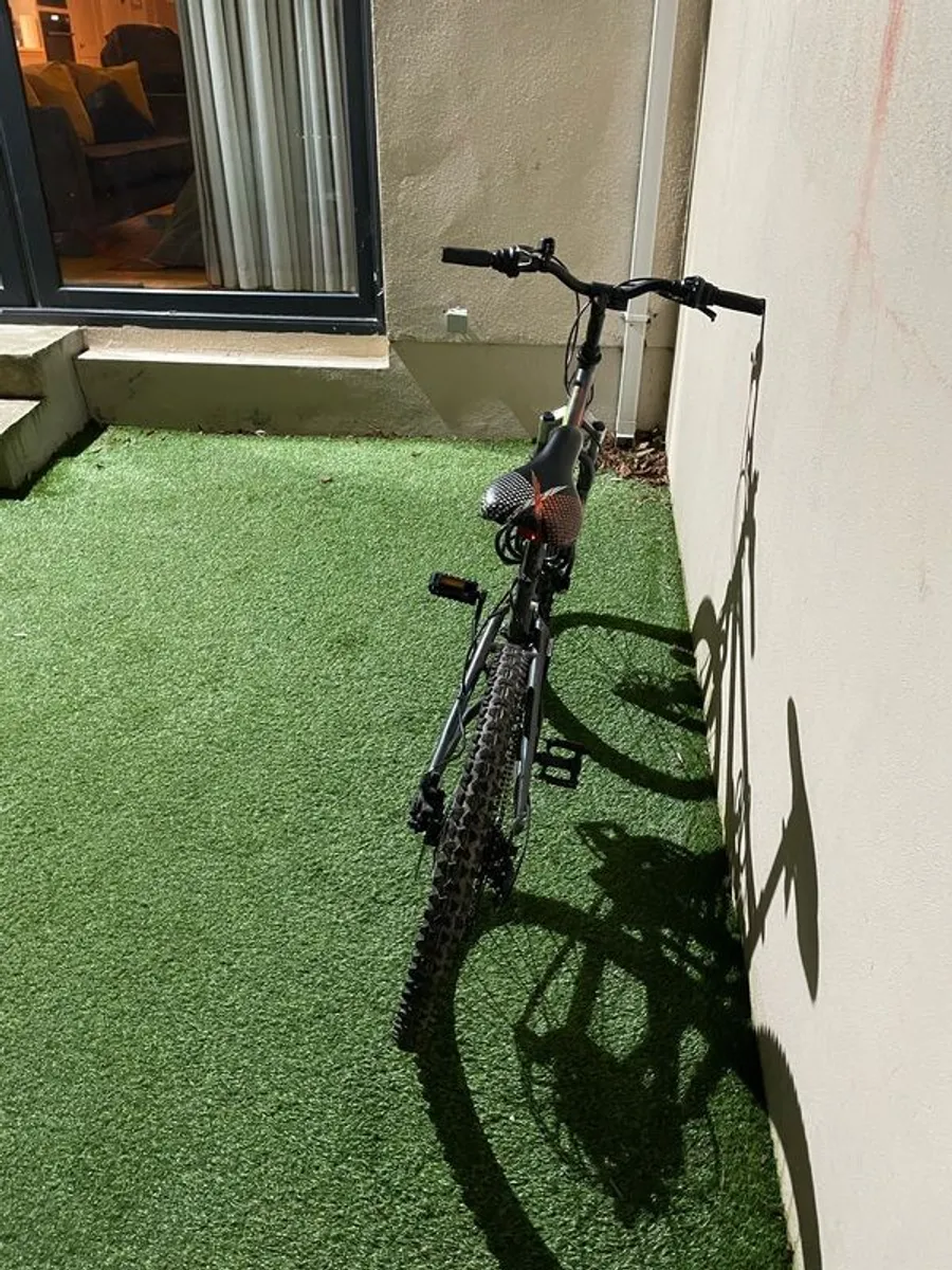 Bike Kids 24 inch frame - Image 2