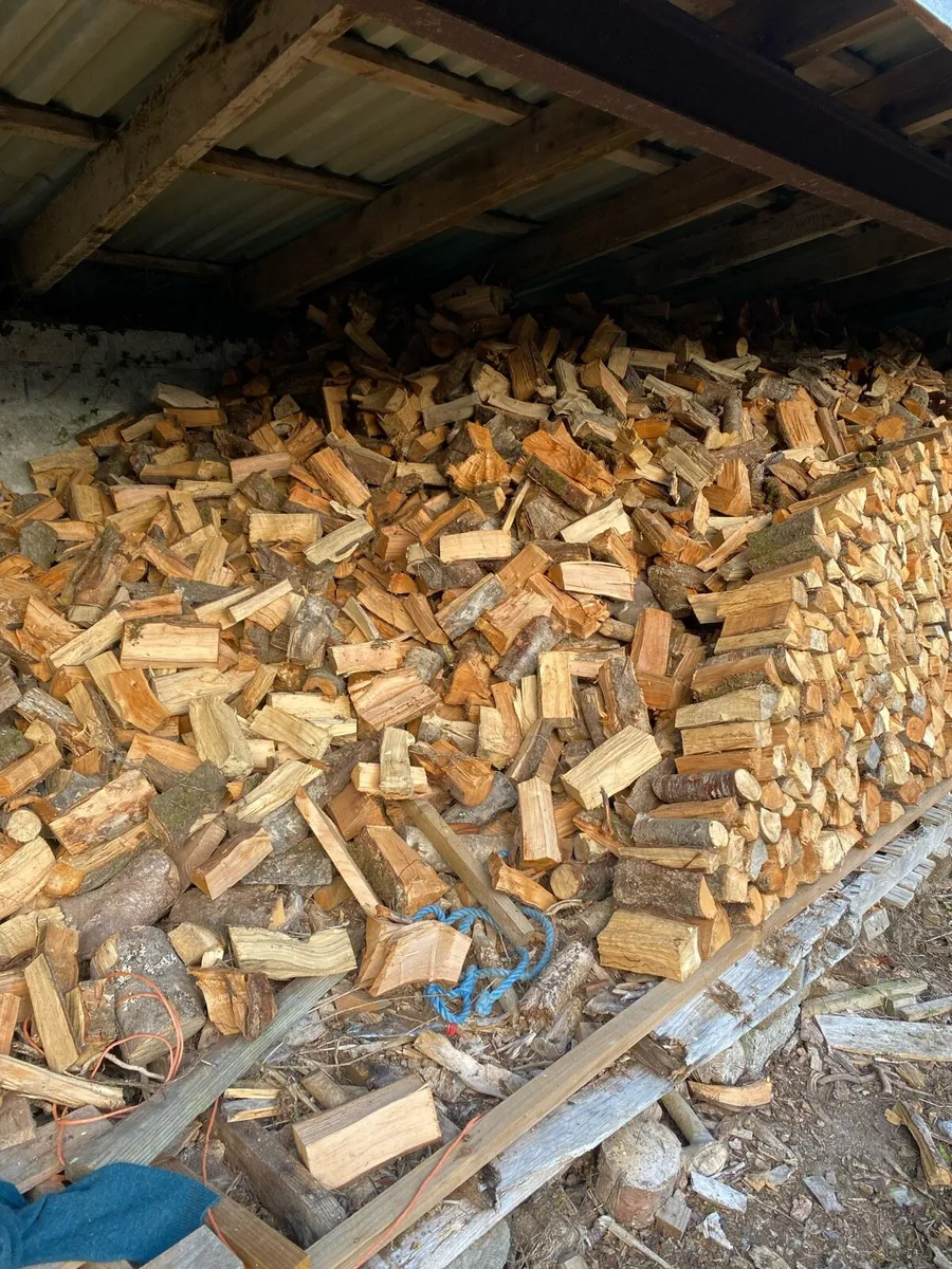 Firewood - Image 1