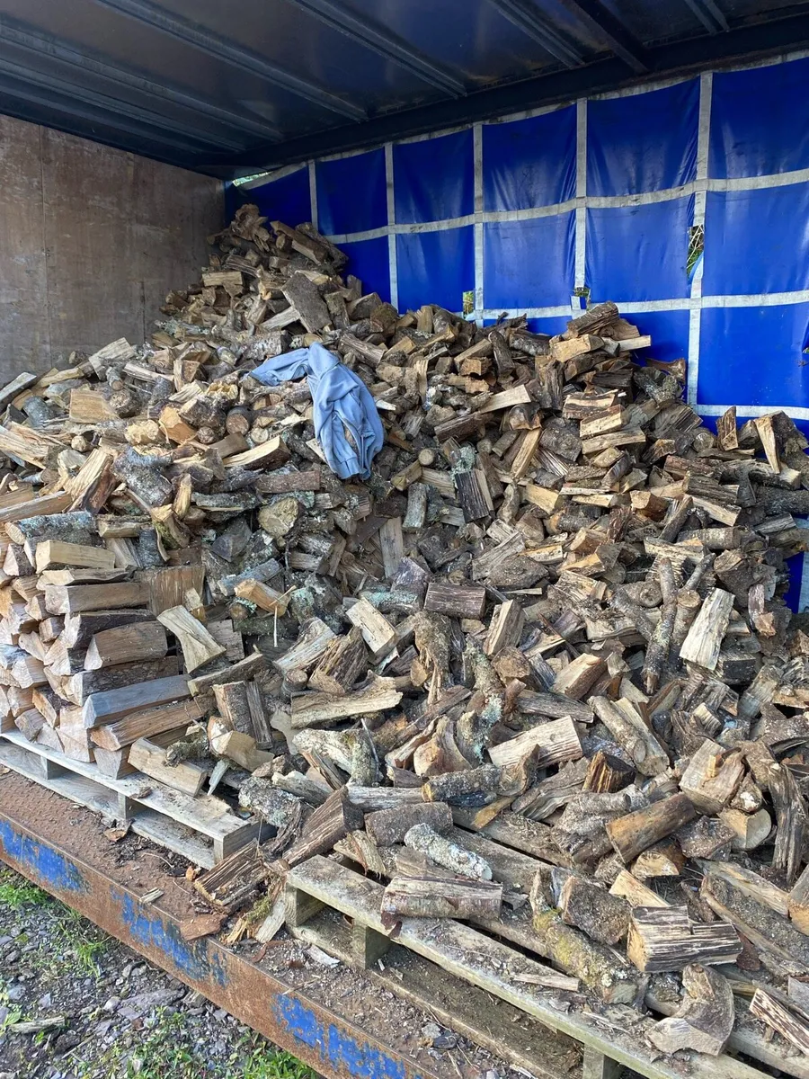 Firewood - Image 2