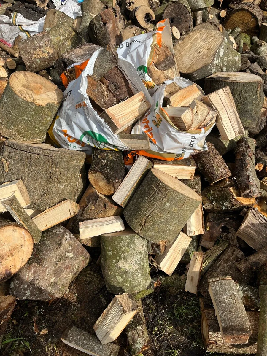 Firewood - Image 3
