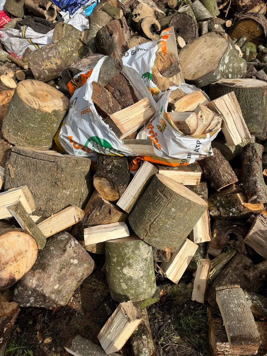 Firewood - Image 4