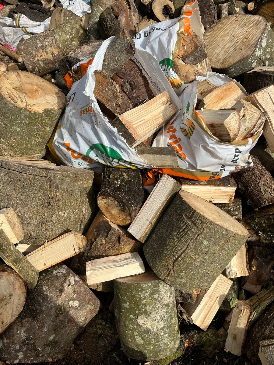 Firewood - Image 1