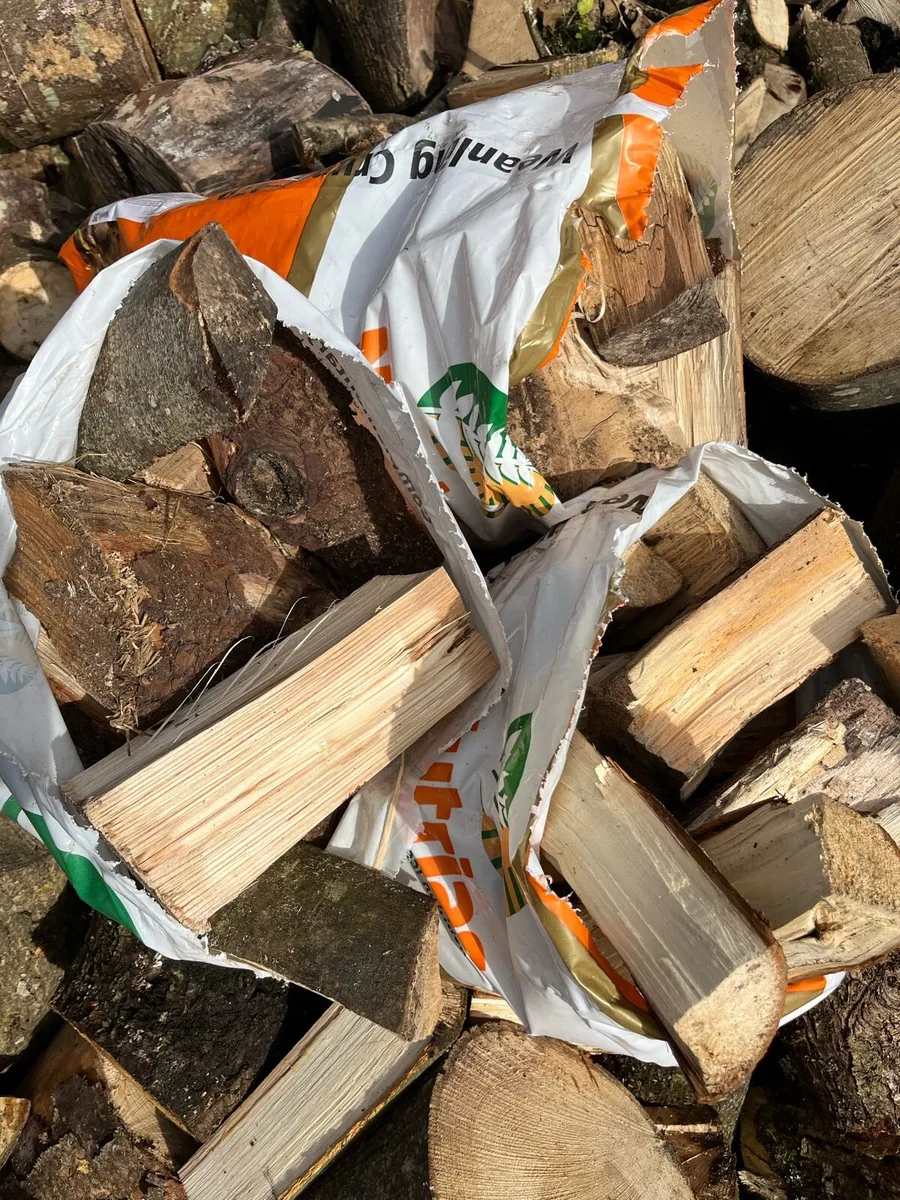 Firewood - Image 2