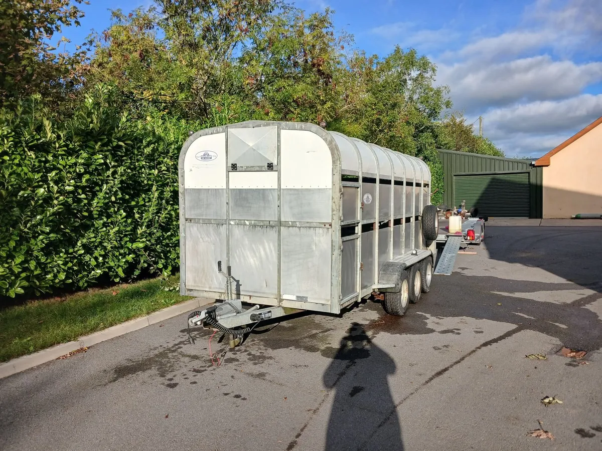 Nugent cattle trailer - Image 1