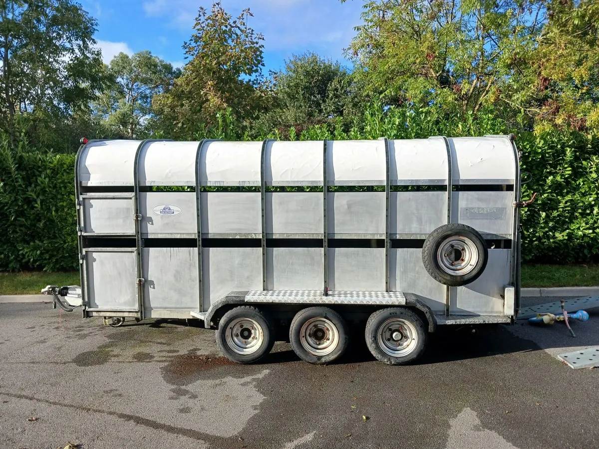 Nugent cattle trailer - Image 2