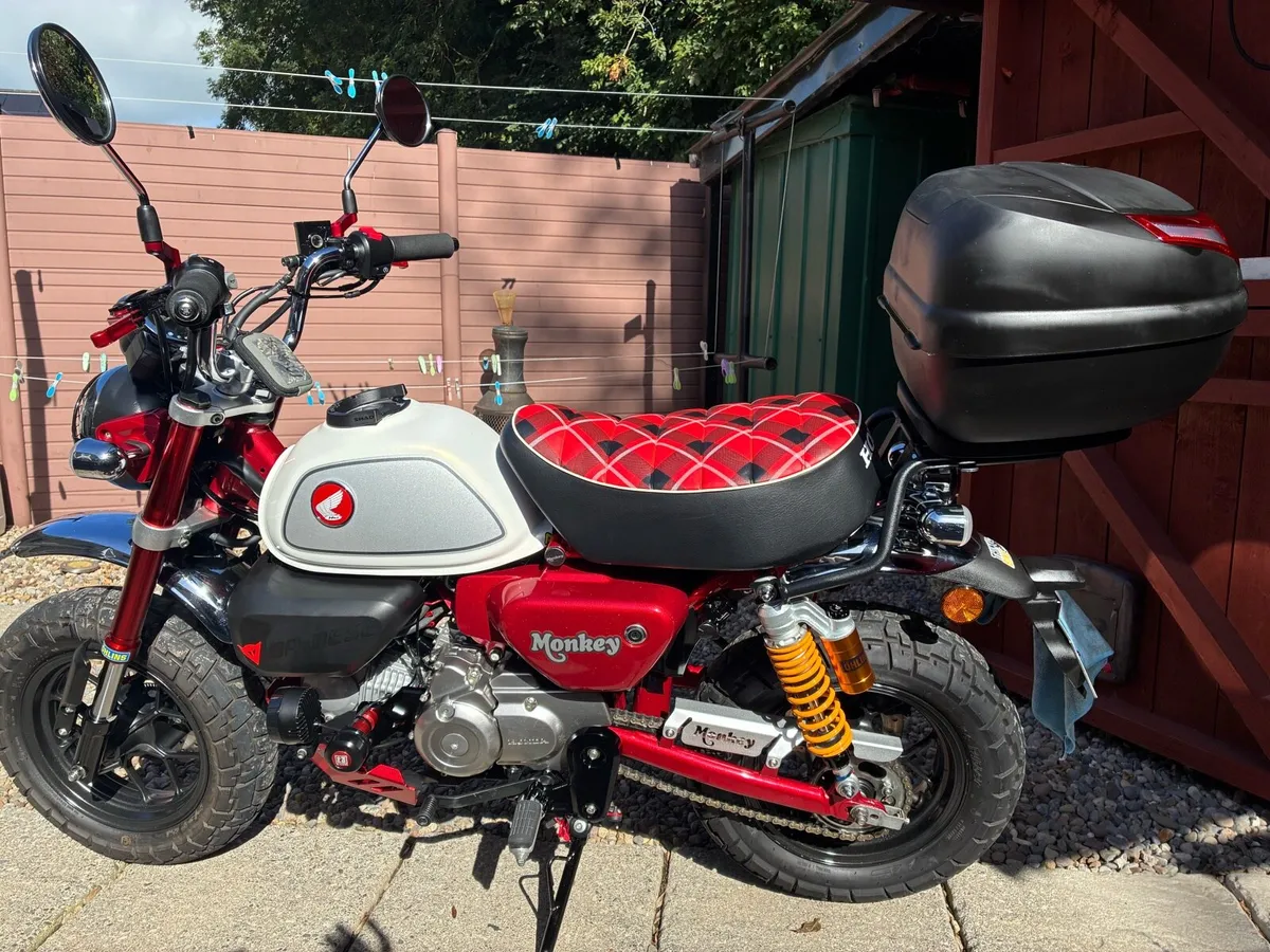 HONDA MONKEY 125 - Image 4