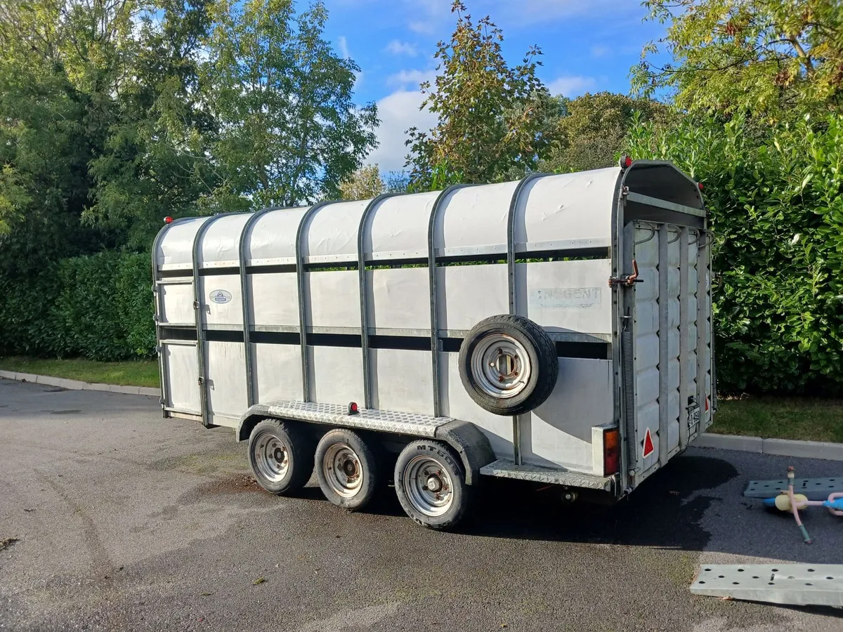 Nugent cattle trailer - Image 3