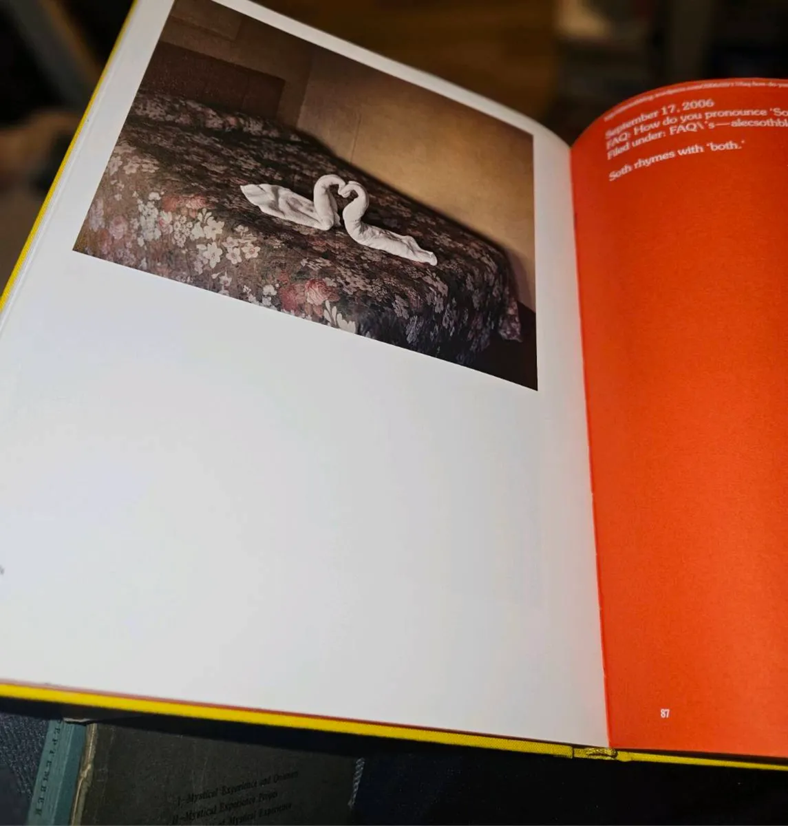 Alan Soths America Book - Image 2