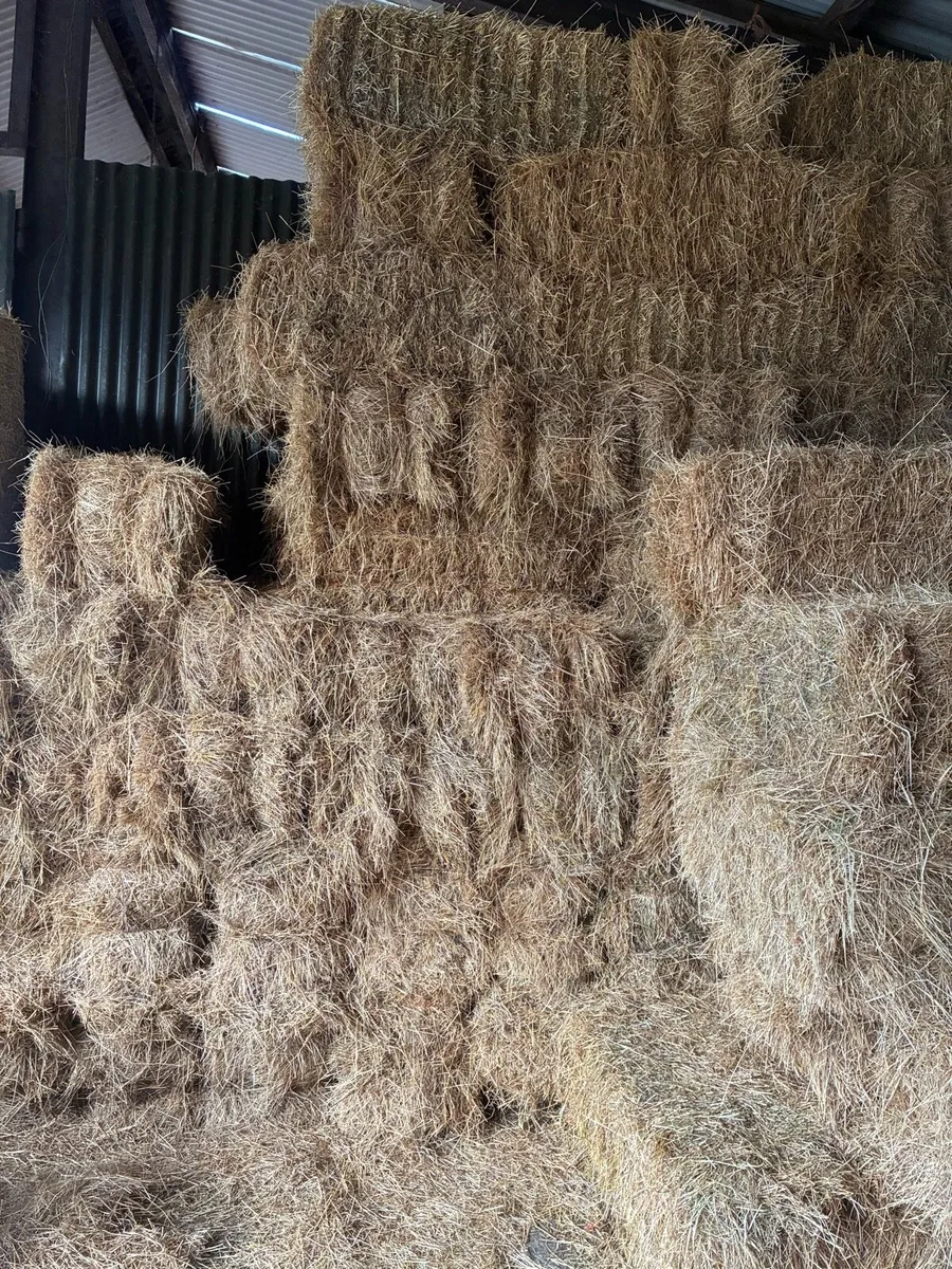 Small square bales of hay
