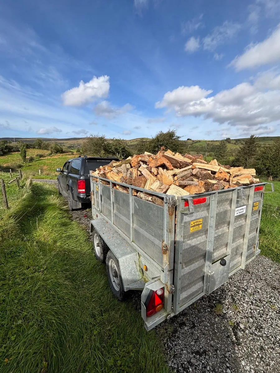 Timber for sale - Image 1