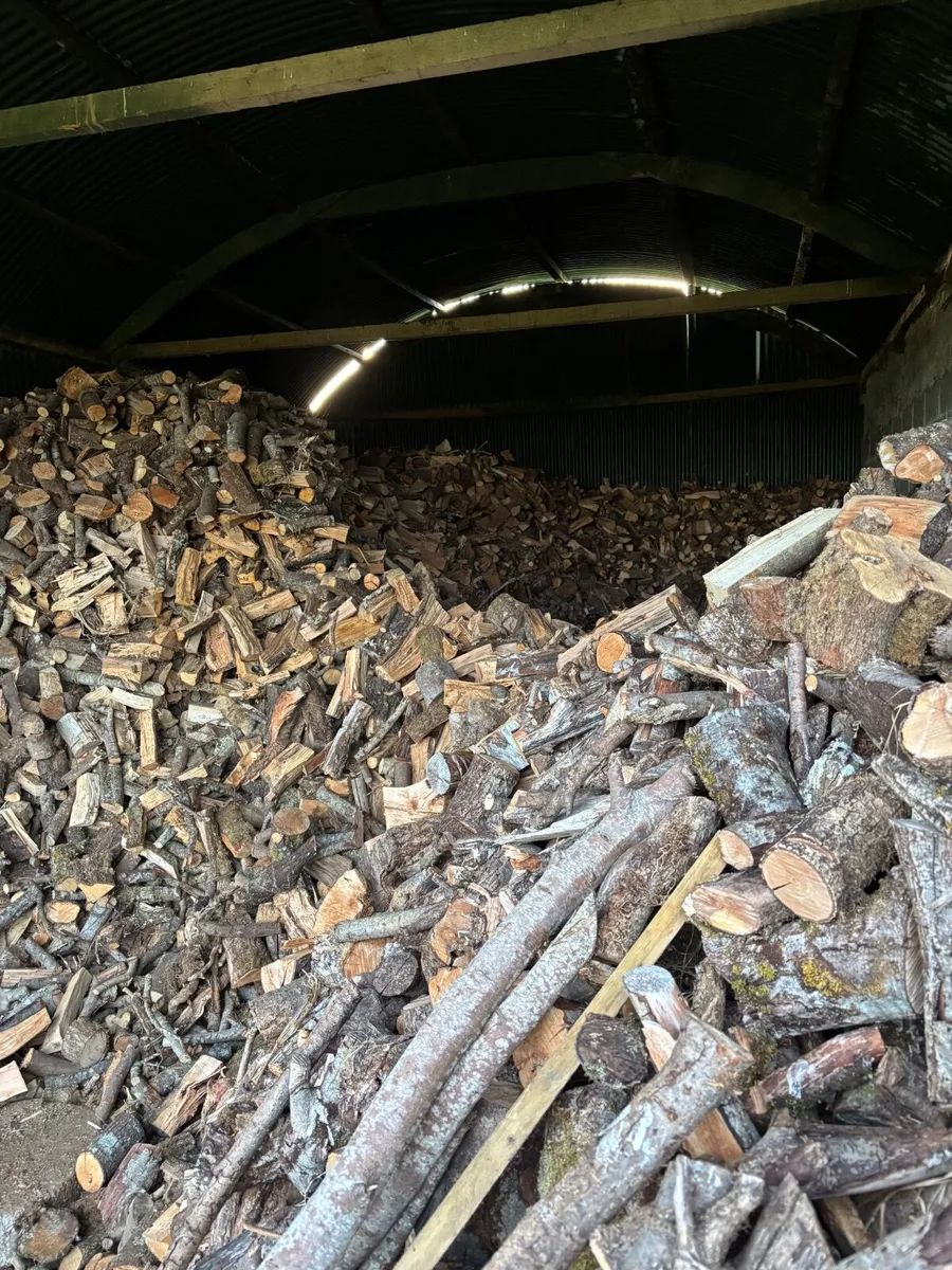 Timber for sale - Image 3