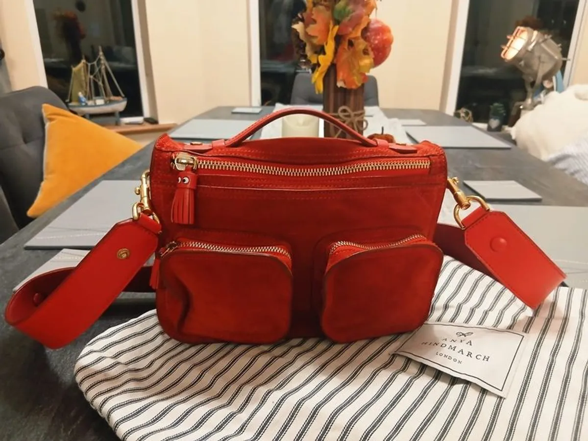 Anya Hindmarch Ripley suede and leather Crossbody bag - Image 1