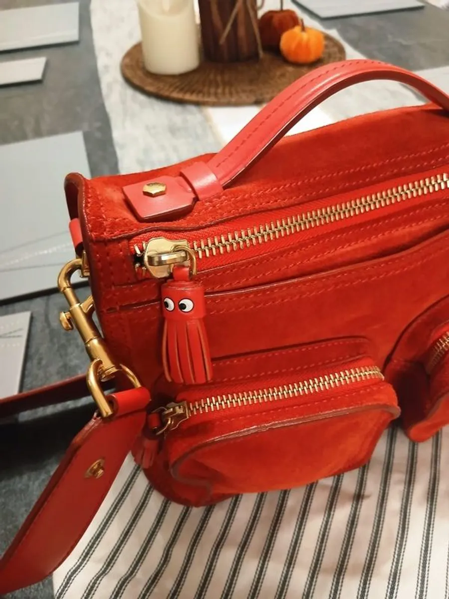 Anya Hindmarch Ripley suede and leather Crossbody bag - Image 3