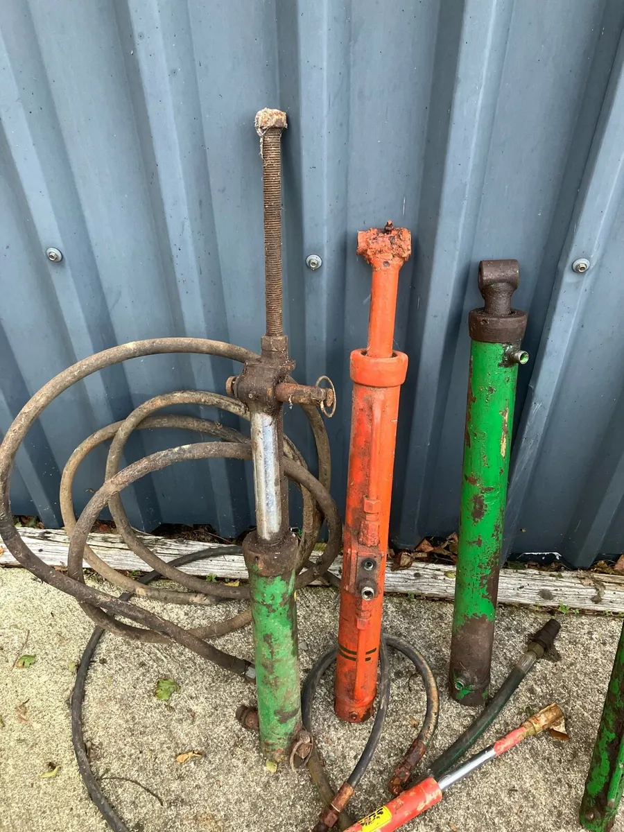 Rams - Image 4