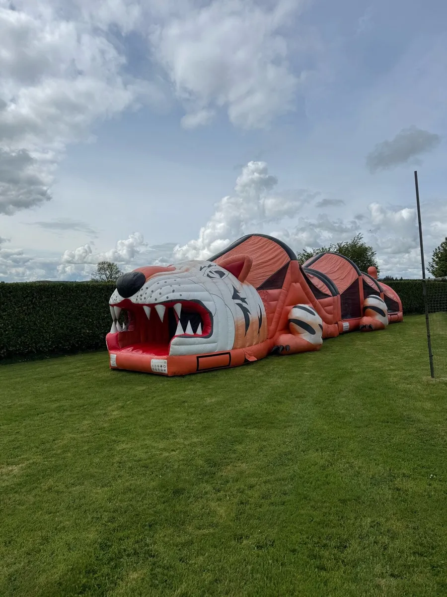 Bouncy Castle - Image 1