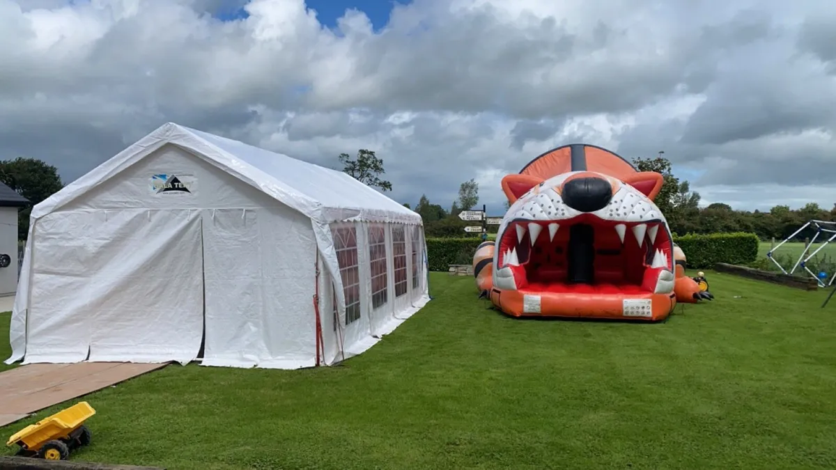 Bouncy Castle - Image 4