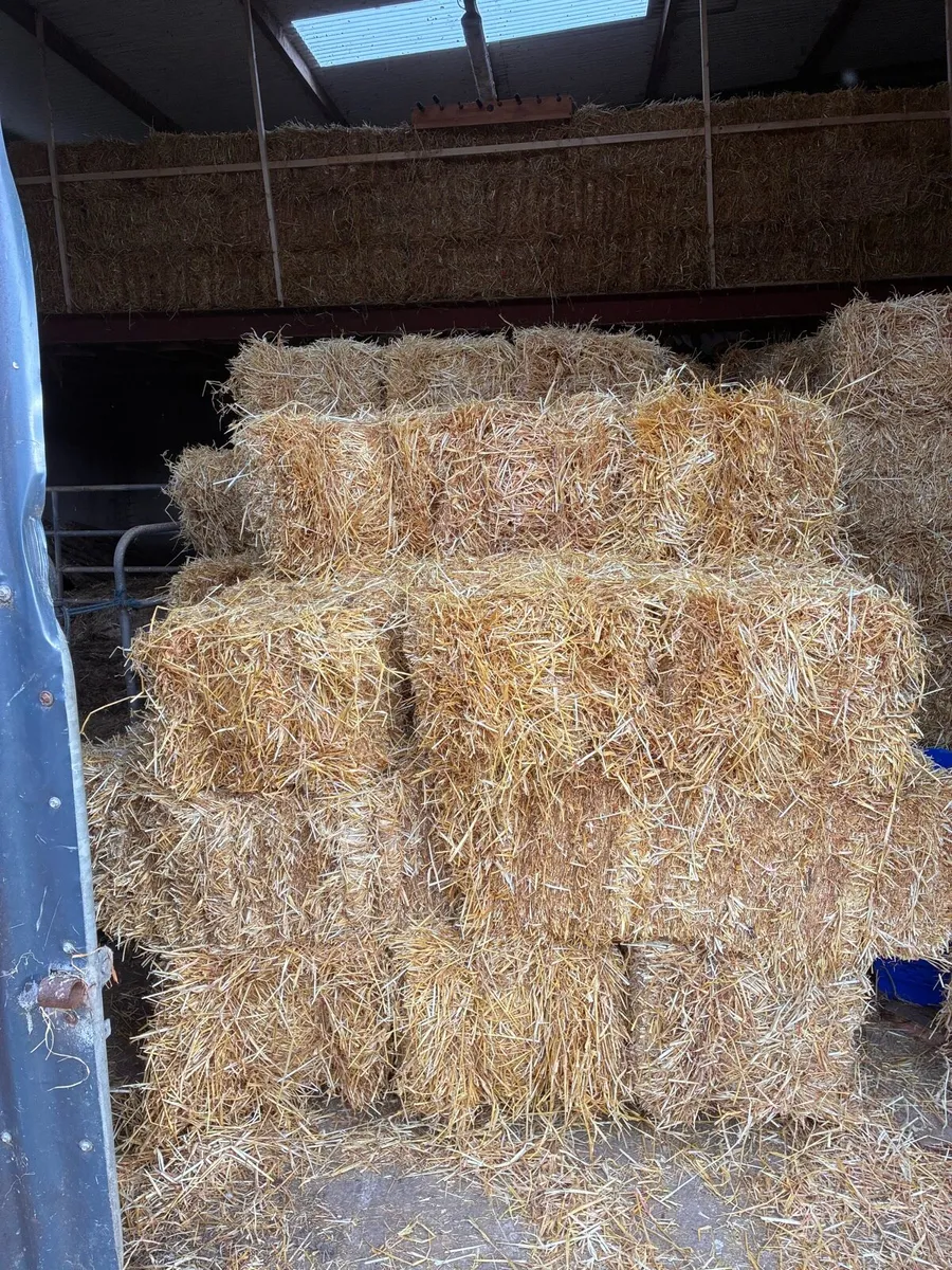 Straw - Image 1