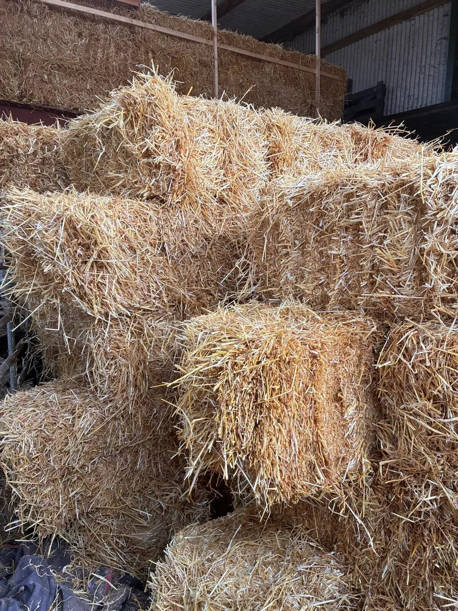 Straw - Image 2