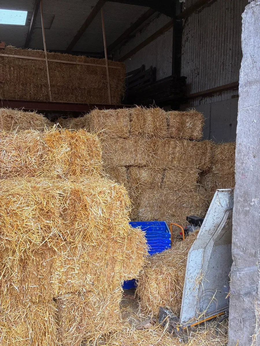 Straw - Image 3