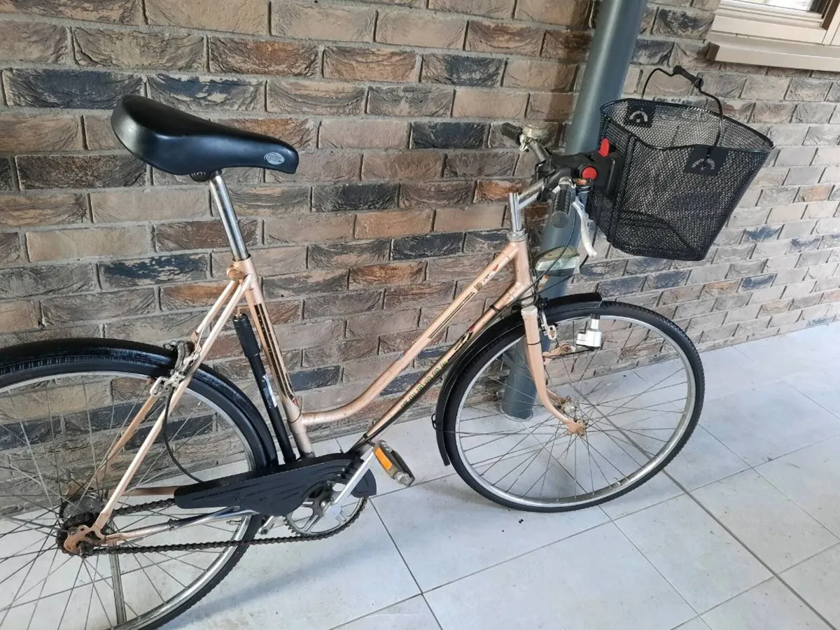 Retro bike ladies