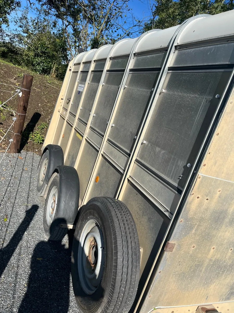Immaculate 12 by6 Ivor Williams trailer - Image 3