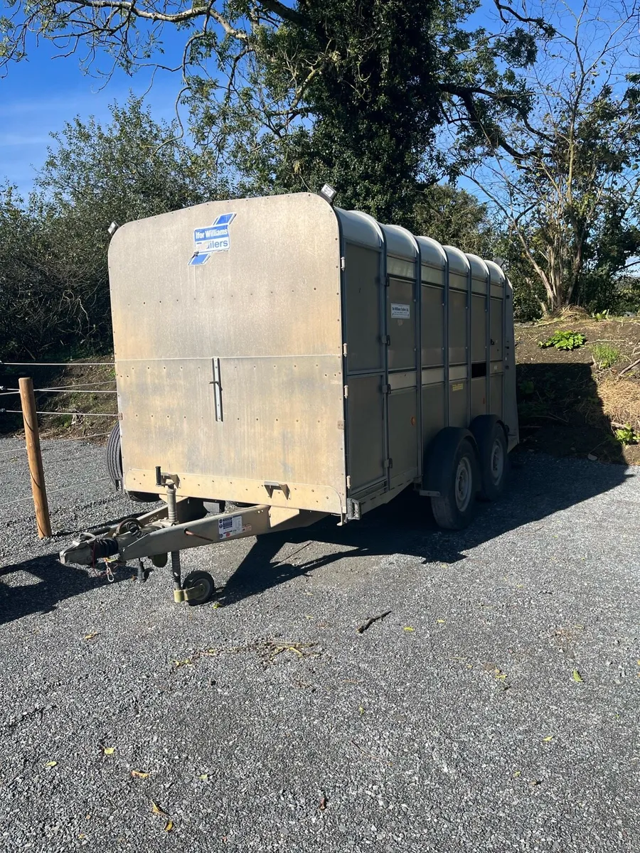 Immaculate 12 by6 Ivor Williams trailer - Image 1