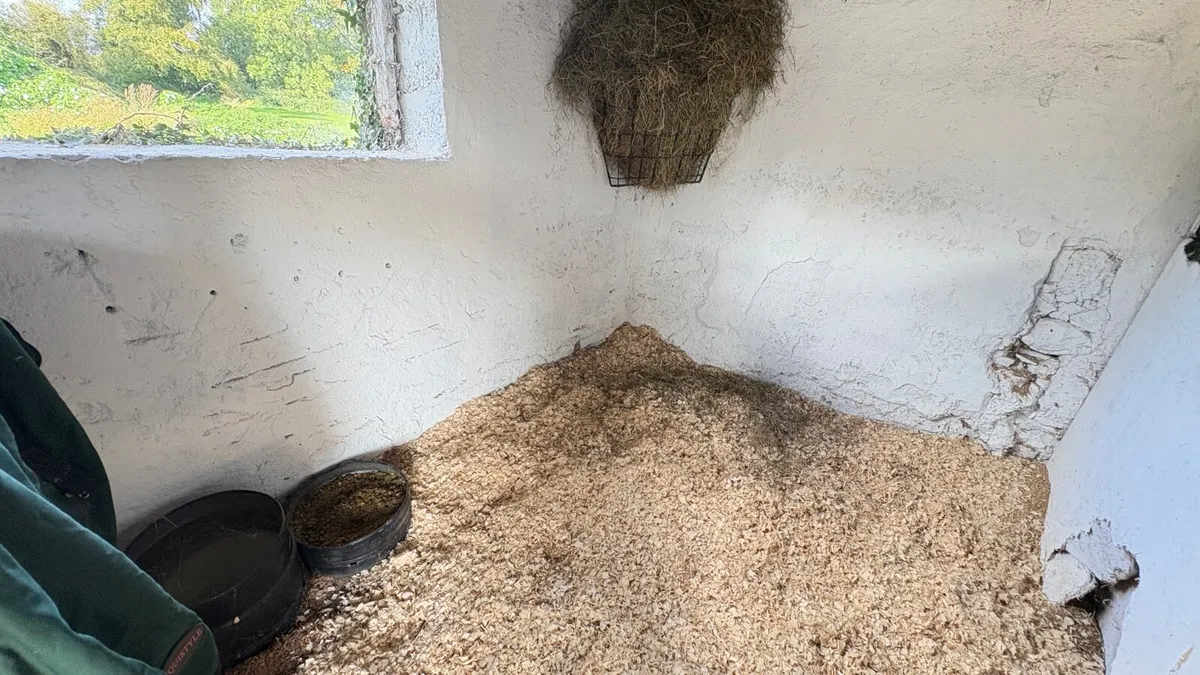 stables to rent - Image 2