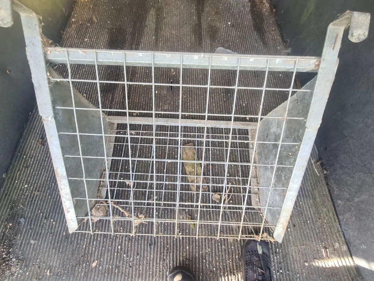 JFC JFC 10 Teat Gate Feeder Trough & Hay Racks - Image 3