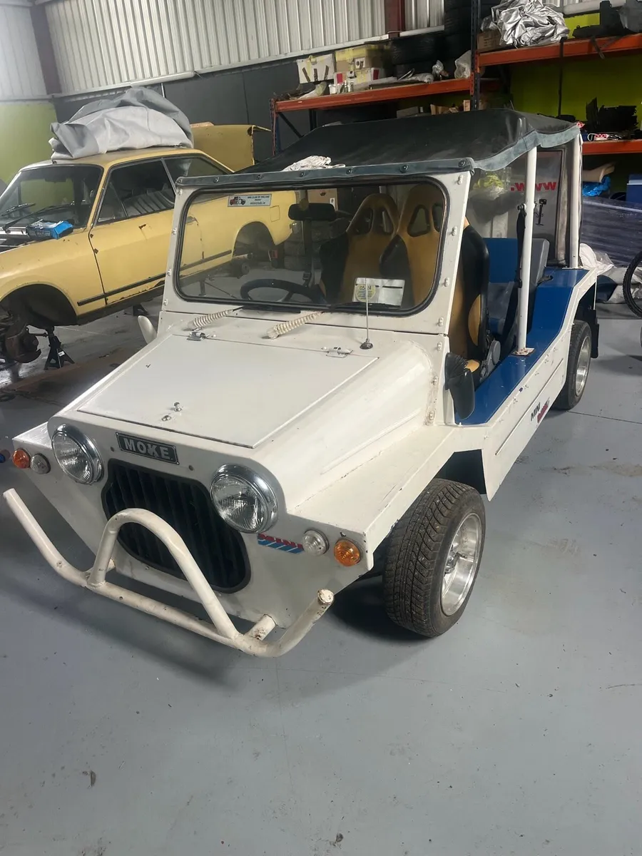 AEM Scout - Image 2