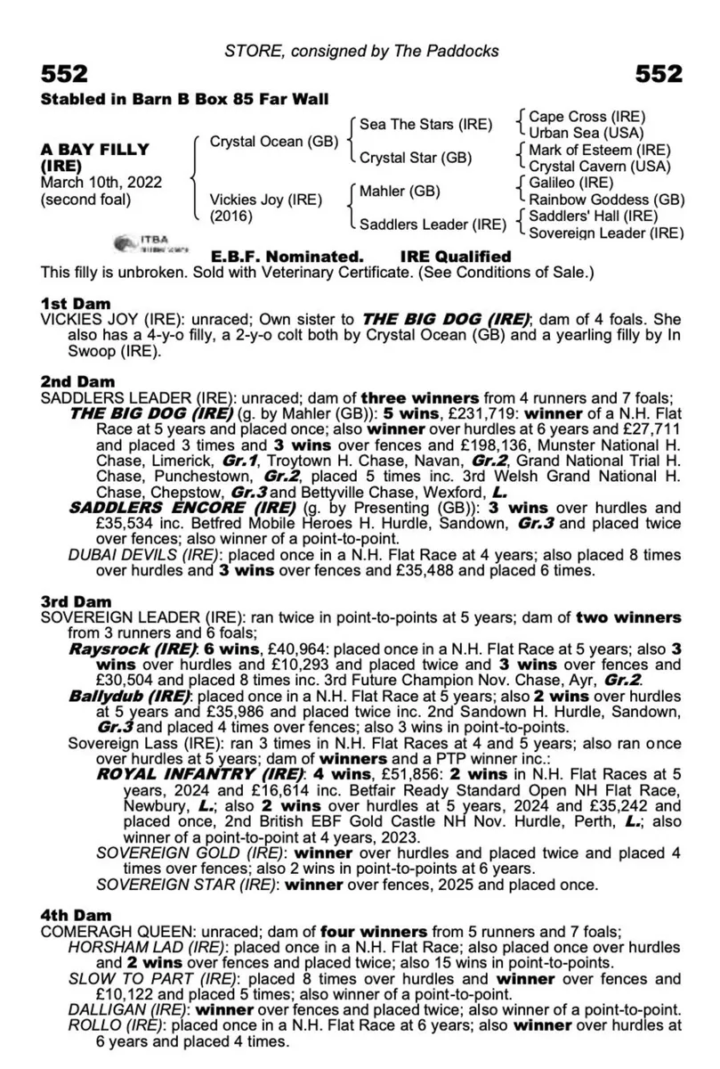 CRYSTAL OCEAN FILLY – RACING OR BROODMARE PROSPECT