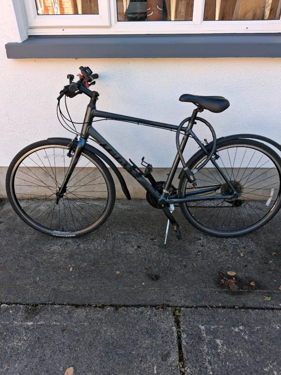 Hybrid bicycle