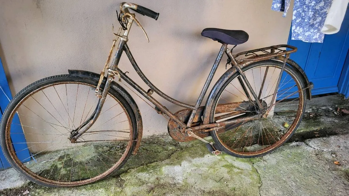 High nelly ladies bike
