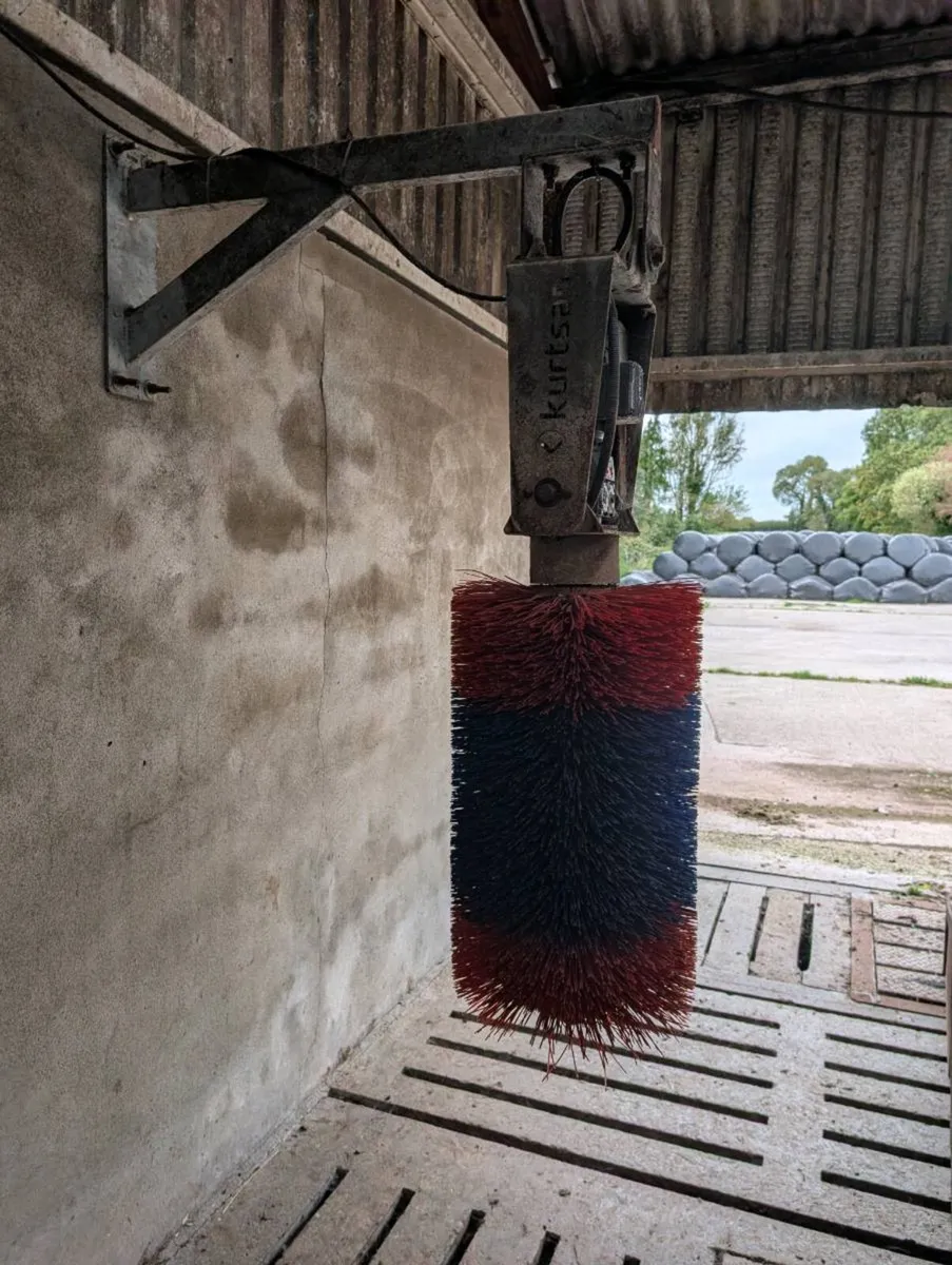 Automatic cow brush - Image 2