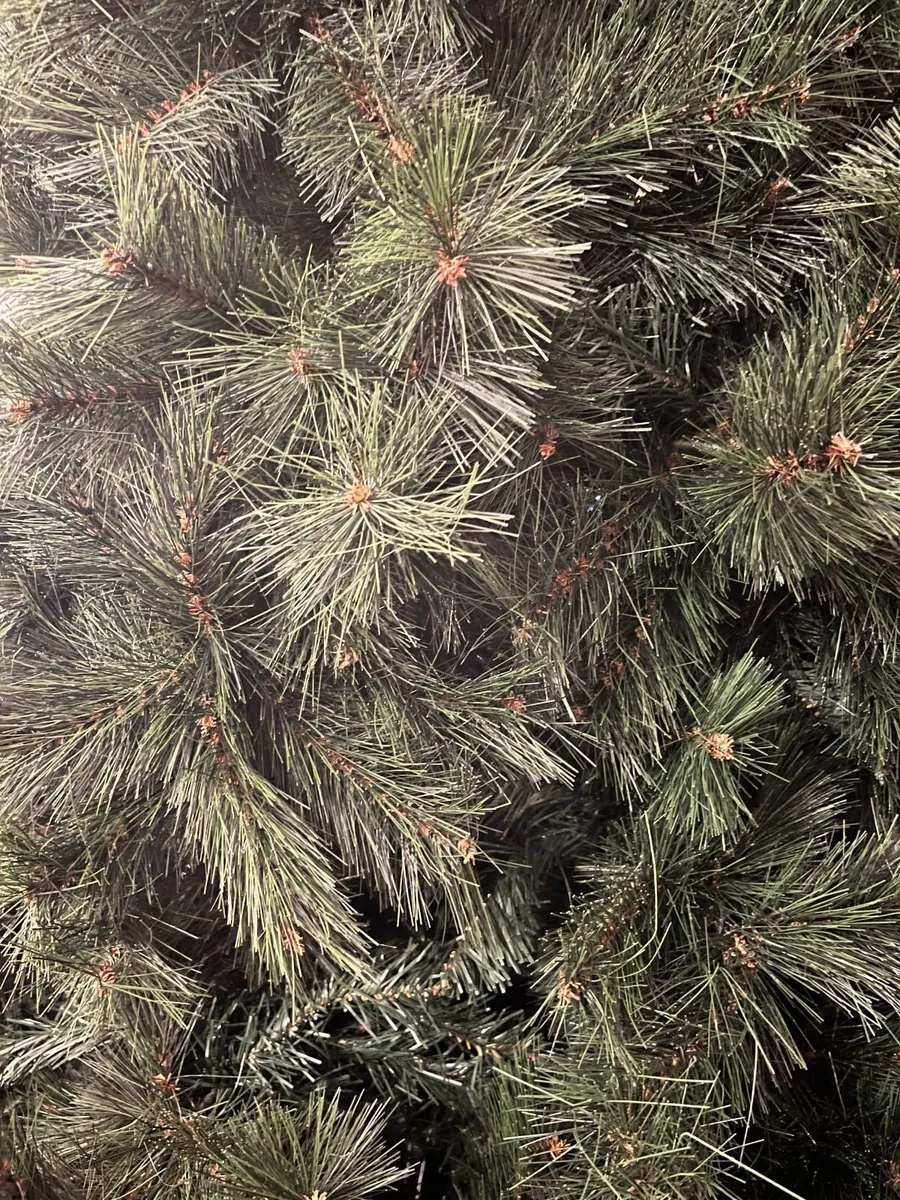 Christmas tree - Image 3