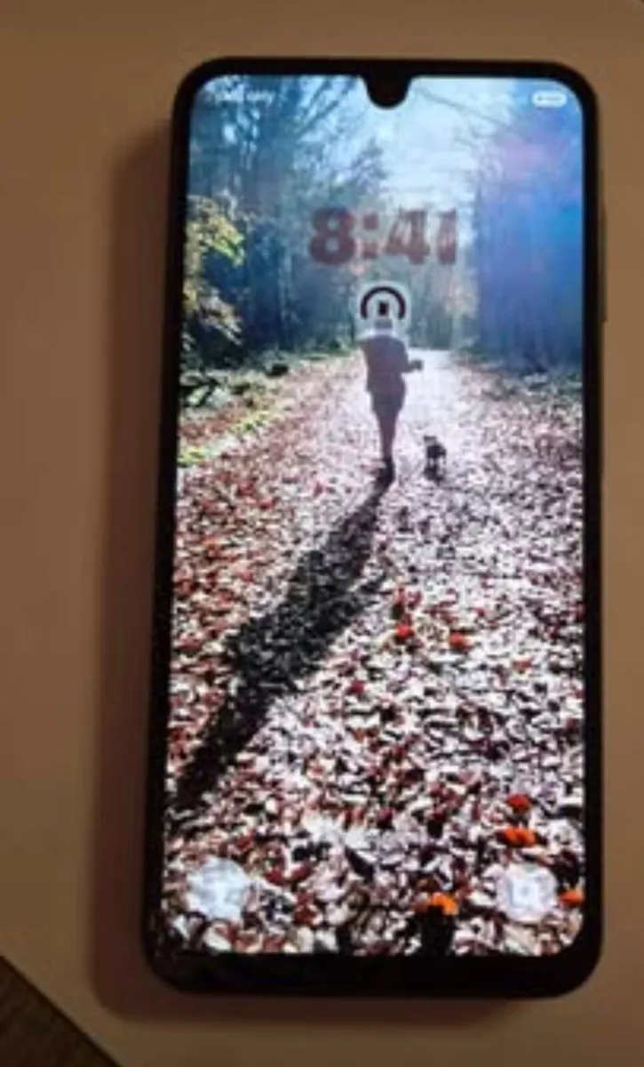 SAMSUNG A16