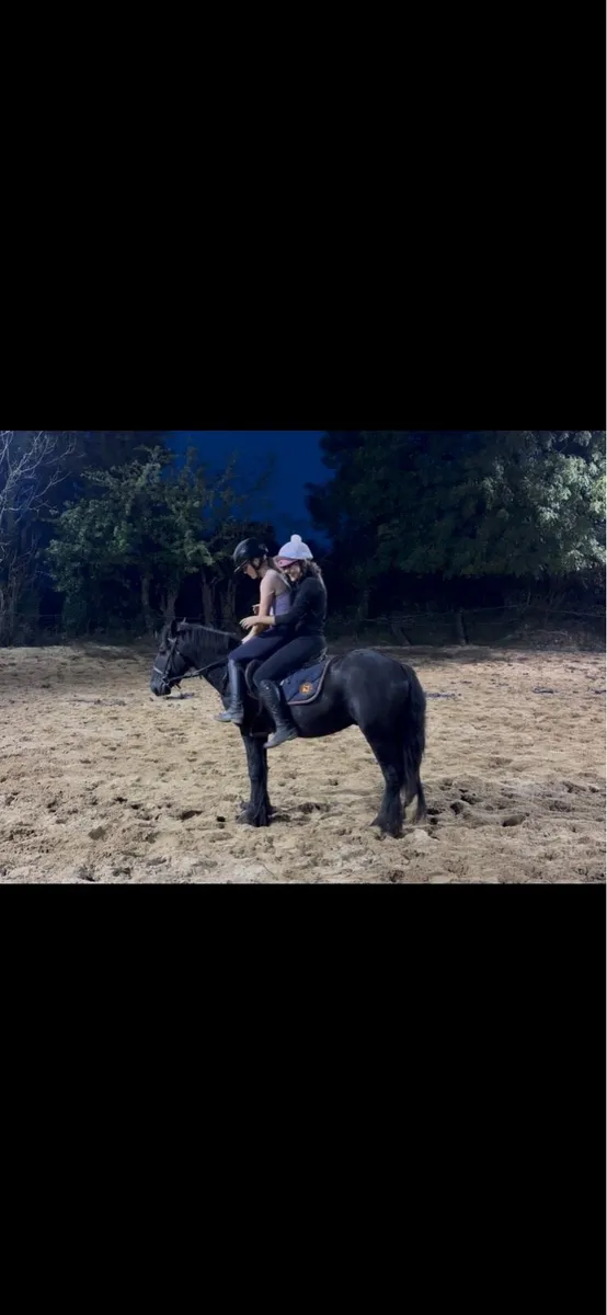Ideal child’s pony ✨ - Image 3