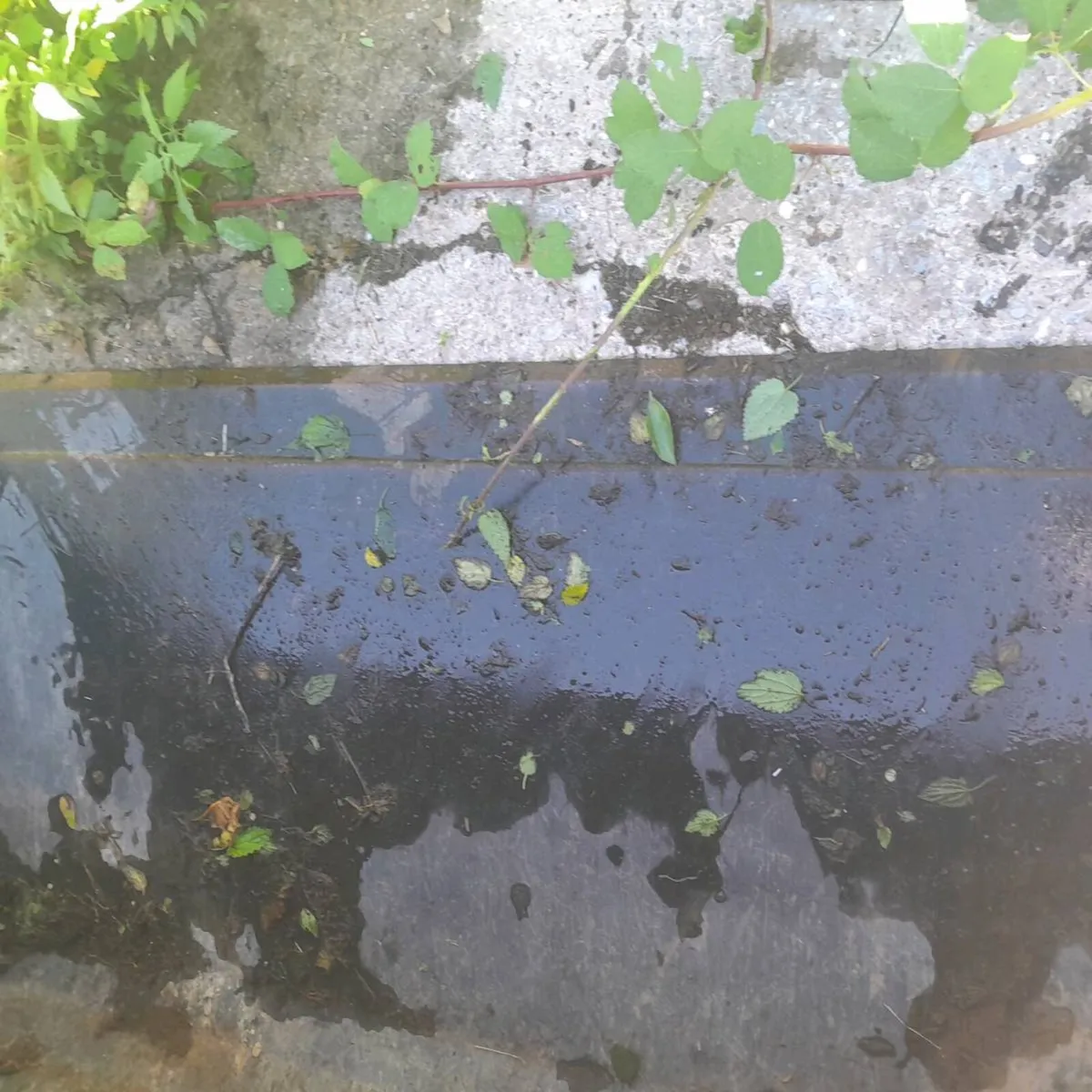 5 foot Quickie loader bucket - Image 4