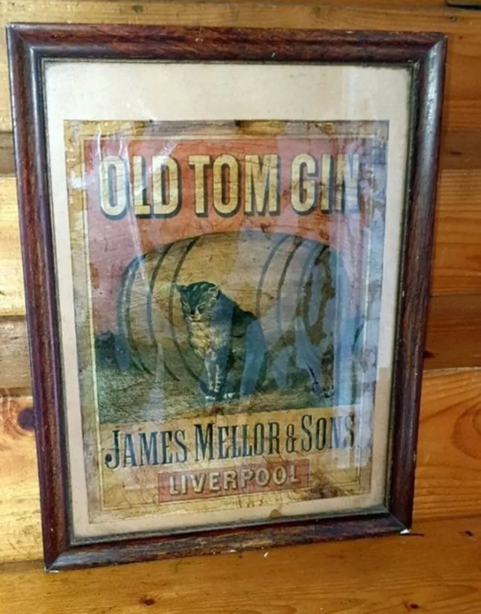 Vintage Old Tom Gin Framed Advertising Print - Image 4