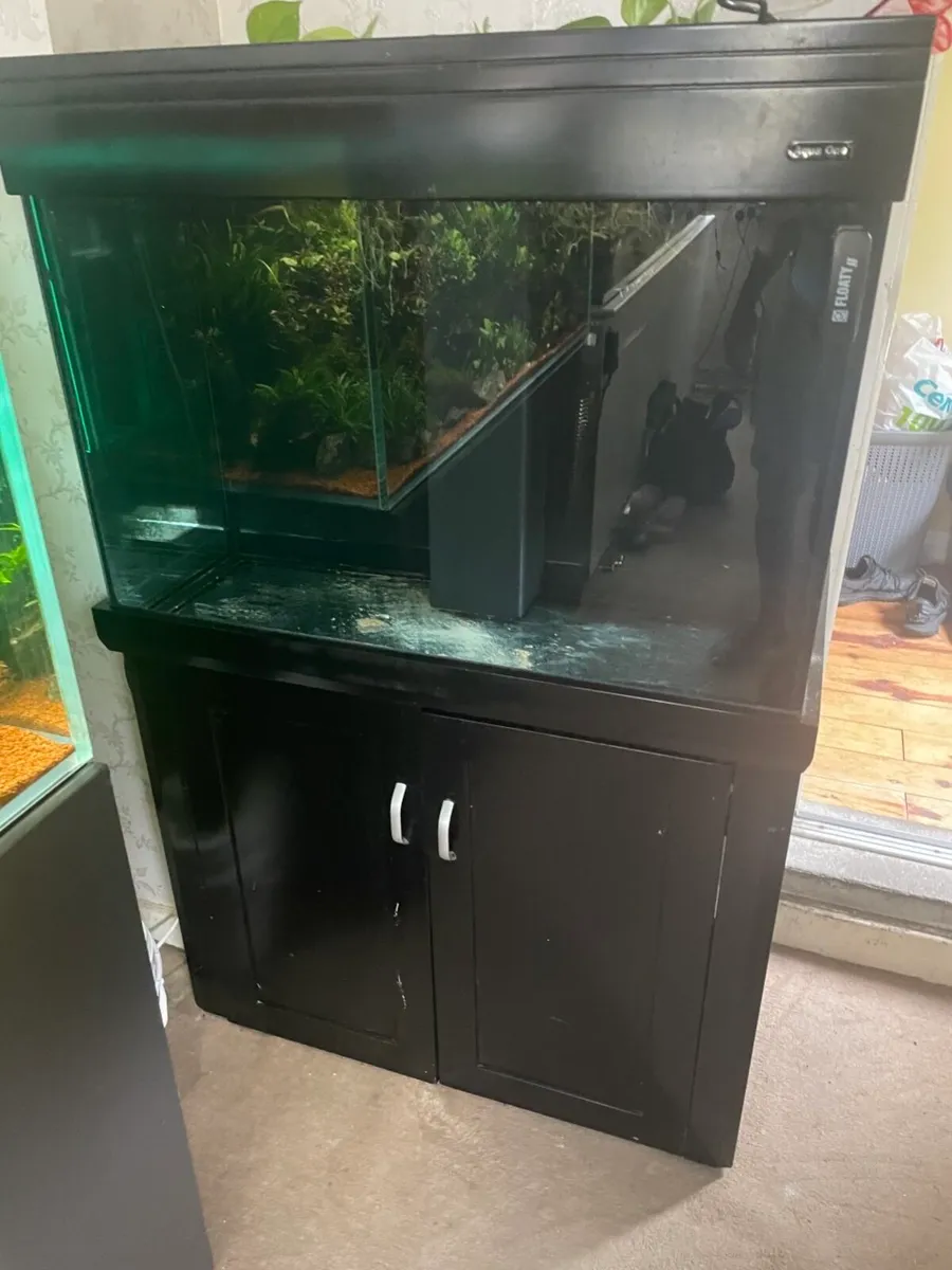 Fish tank 350 litre full setup with sump