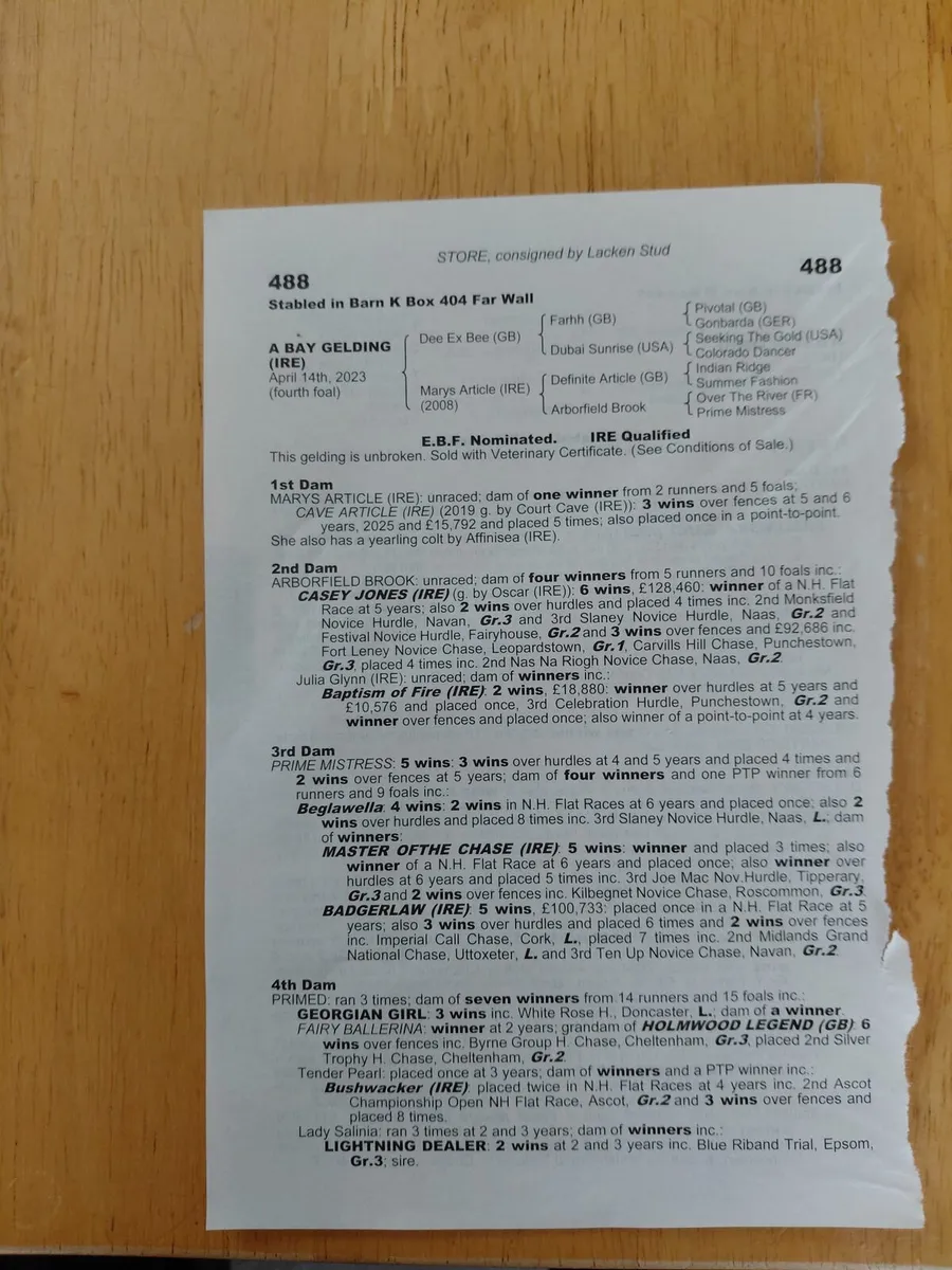 Quality broodmare proven NH family - Image 3