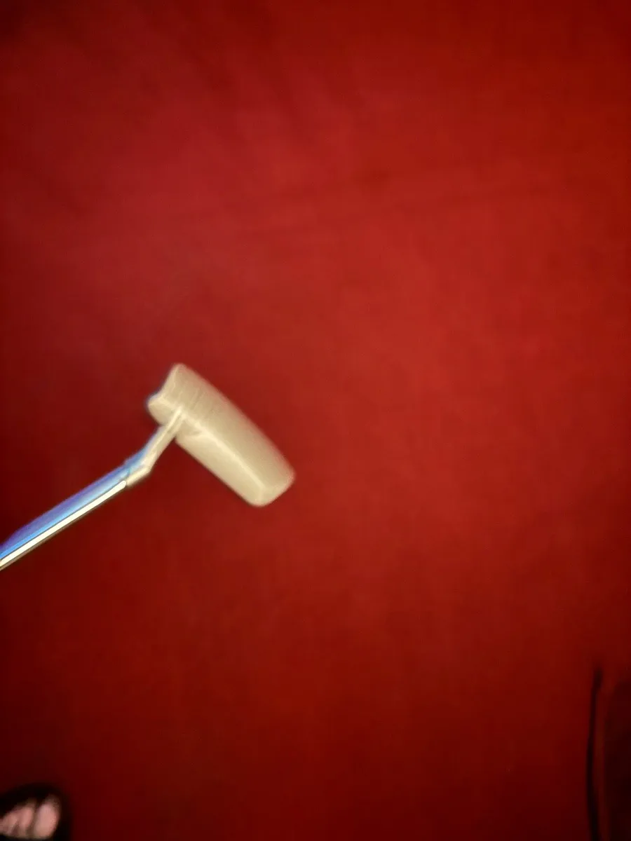 Putter - Image 3