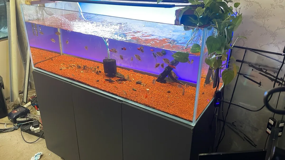 Fish tank 500 litre Optiwhite