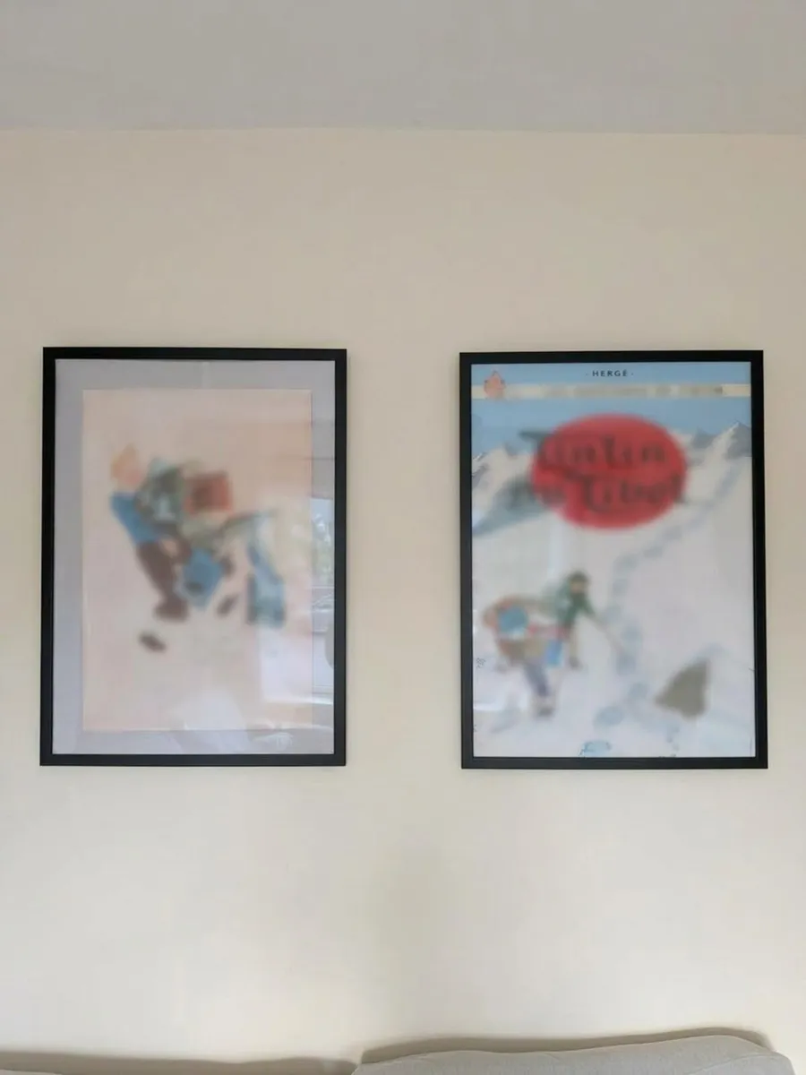 FISKBO frame 50 x 70 cm