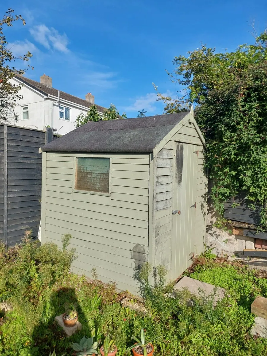 Garden shed for collection - Image 1