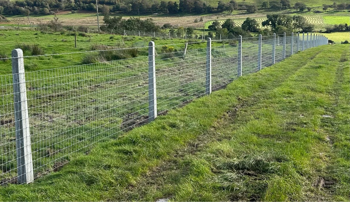 Fencing, Groundworks - Image 1