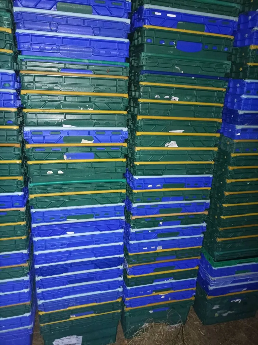 Stacking plastic boxes - Image 2